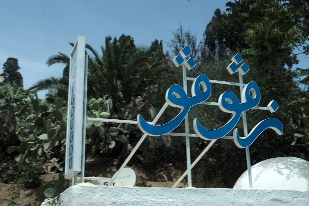 MeshLab, why MeshLab crashes, troubleshooting viewer errors and corrupted files