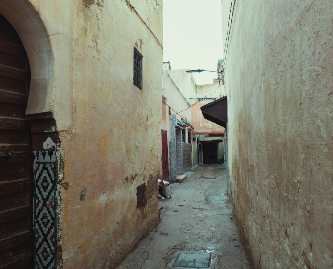 MeshLab, how to install MeshLab, 3D planning tutorial with rollback-friendly data storage