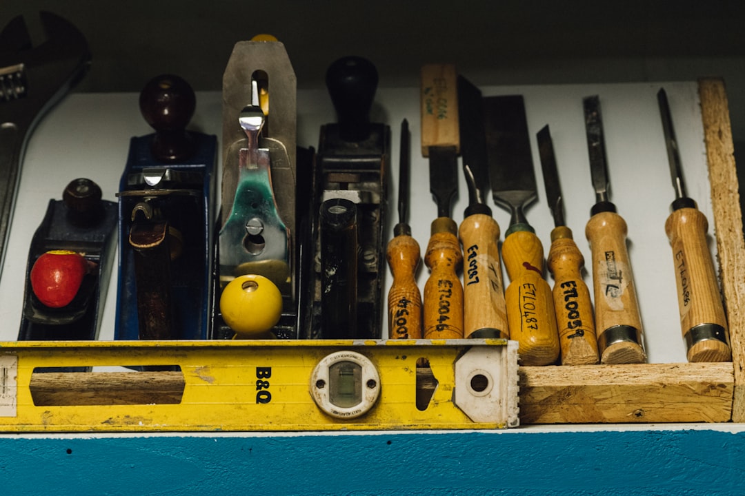 GIMP (Medical Plugins), how to use GIMP (Medical Plugins), secure clinic records with snapshots and restore points