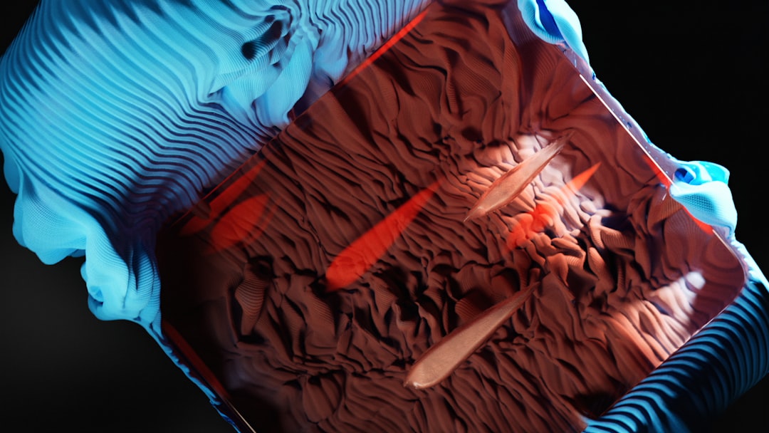 Seg3D, how to back up Seg3D data, free dental tool setup with encrypted backup routines